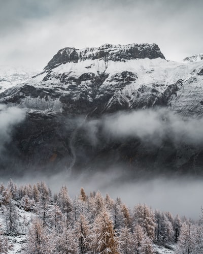 阿尔卑斯山白天的灰阶摄影